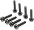Replacement Screws - 1 Set of Metric Screws (Model RS-198358) Pan Head - Philips Drive - Black Plated (Pack of 8)