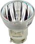for SP.8VH01GC01/BL-FP190E Projector Bare Bulb/Lamp, fits OPTOMA EH200ST GT1080 S316 X316 W316