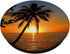 Realistic Sunset Ocean Palm Tree Photo PopSockets Standard PopGrip Tropical Sunrise