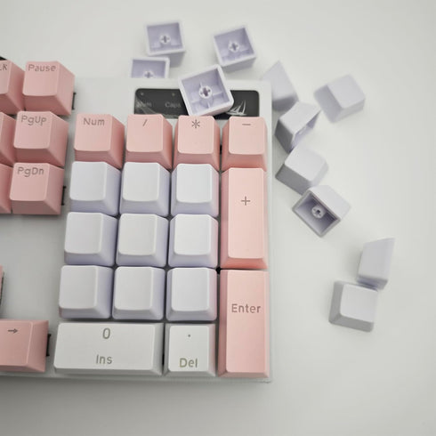 OEM Profile White Blank Keycaps, PBT Material 1U R4 for MX Switches Mechanical Keyboard (White, 100pcs)