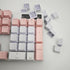 OEM Profile White Blank Keycaps, PBT Material 1U R4 for MX Switches Mechanical Keyboard (White, 100pcs)