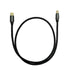 0.5 Pangea Audio Premier SE MKII USB Cable Meter