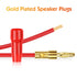 Diospyros 4 mm Gold Plated Open Screw Type Speaker Connector - 12 Count (1 Pack of 6 Pairs)
