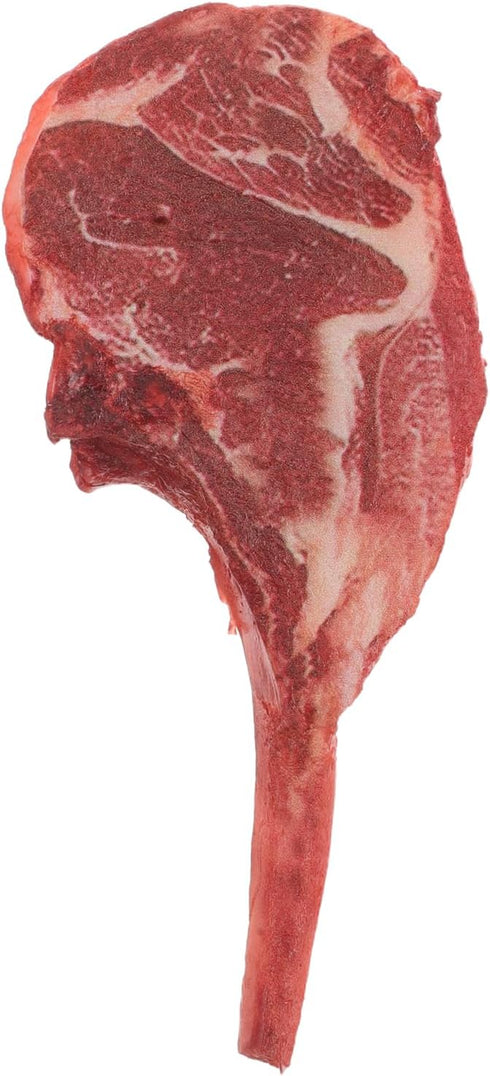 LOGOFUN Lifelike Artificial Steak Beef Model Fake Realistic Meat Photography Prop for