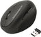 SANWA 2.4G Wireless Ergonomic Mouse, Optical Vertical Ergo Mice for Small Hands, 800/1200/1600 DPI, Black