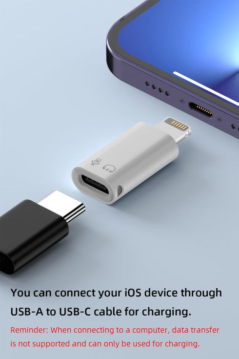 AreMe 2 Pack USB C/USB 3.0 Female to Lightning Male OTG Adapter for iPhone/iPad, supports USB devices like card
