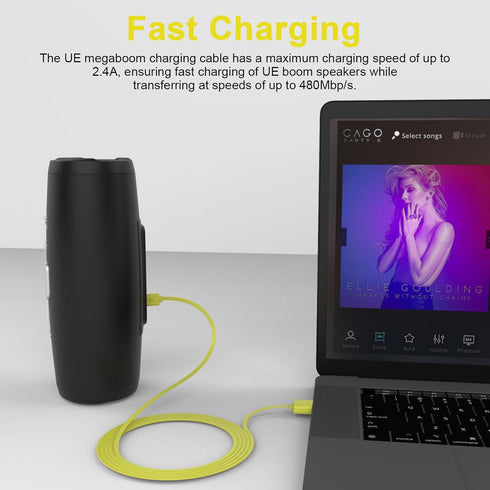 UE Boom Charging Cord for Ultimate Ears WONDERBOOM 3, Boom 3, MEGABOOM 3, ROLL, MEGABLAST Speakers, 4ft Micro USB