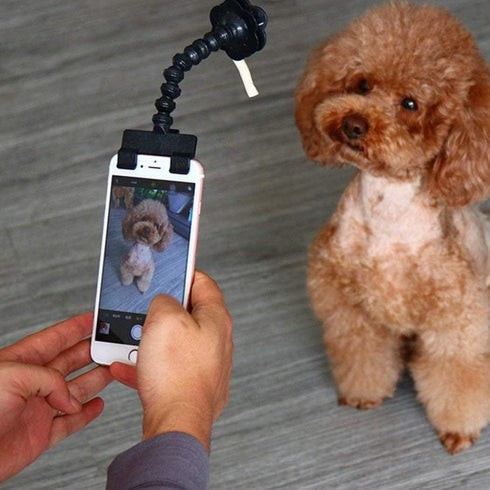 Hintyne Dog Selfie Stick Portable Pet Selfie Stick Dog Cat Photographing Photography Toy Mobile Phone Accessories Shoot