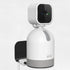 Wall Mount for Blink Mini Pan-Tilt Camera, Black Stainless Steel Bracket for Home/Office Indoor