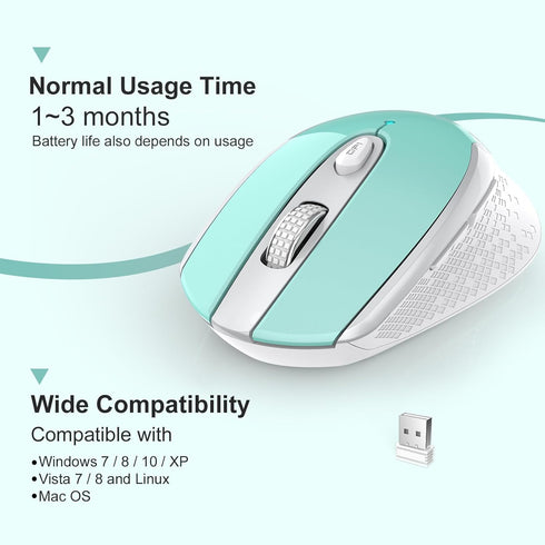 RaceGT Wireless Mouse, Ergonomic Optical Mouse for Laptop, 2.4G Portable Silent Mouse, Plug & Play for Desktop,