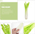 BESTOYARD Lifelike Fake Celery Model - PU Artificial Vegetable for Home Decor Photography Props and Display - Realistic