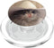 Crying Cat Meme Sad PopGrip: Swappable Grip for Phones & Tablets, MagSafe for iPhone