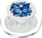 Cute Blue Butterfly Aesthetic Nature Butterflies Blue Butterflies with Flowers Floral Butterfly PopSockets PopGrip for MagSafe