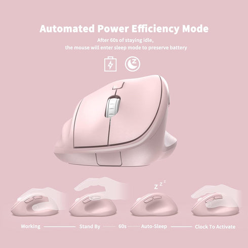 MICROPACK Digitally Yours Ergonomic Wireless Mouse with USB Receiver for PC, Laptop, Pink