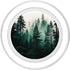 Green Nature Outdoor Explore Forest Pine Tree Woods PopSockets PopGrip for MagSafe
