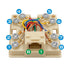 RJ31X Phone Jack Terminal Block with Shorting Bar, Surface Mount 8 Screw Terminals to RJ31X 8P8C Female