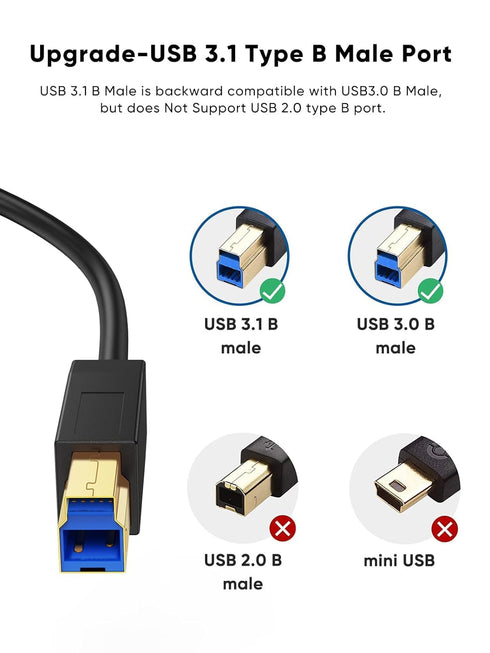 3.1 3FT, 10Gbps 3 Black,1M CableCreation USB C to USB B Cable USB Type B to USB C Cable for Thunderbolt Host MacBook