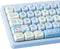 Hyekit PBT Keycaps - 145 Keys Baby Cat Keycaps, Dye-Sublimation Cute MOA Profile Custom Keycaps for Cherry MX