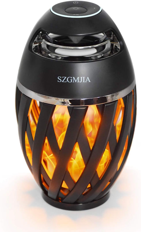 LED Flame Speakers, Bluetooth 4.2 Wireless Portable Outdoor Speaker with HD Audio, Waterproof, LED Flickers
