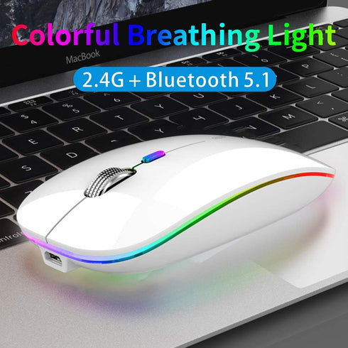 TENMOS Wireless Bluetooth Mouse, LED Slim Dual Mode Rechargeable Silent Mouse with Type C Adapter