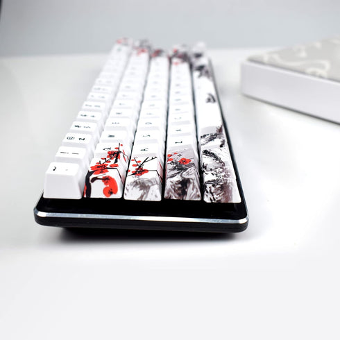 MOLGRIA Keycaps 71 Set for Gaming Mechanical Keyboard - Custom PBT OEM Profile Key caps with Keycap Puller for Cherry