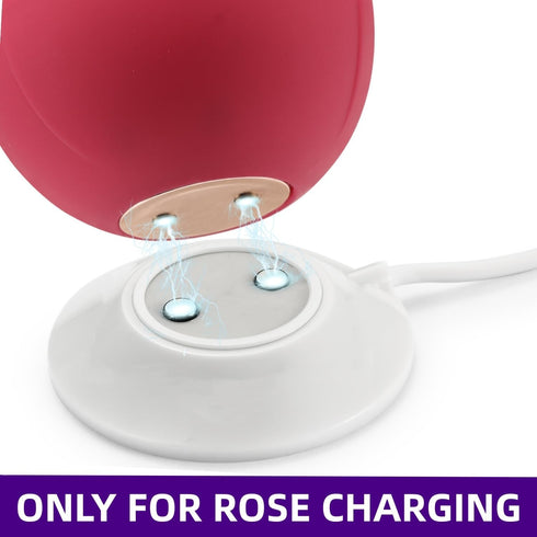 Rose Replacement Charger, 12mm Magnetic Dock Station Fast Charging USB Cable for Rose Only - 2.5Ft