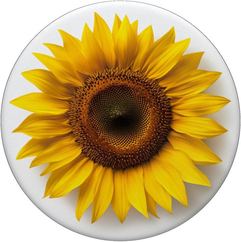 Standard PopGrip - Sunflower Blossom Yellow Floral Flower