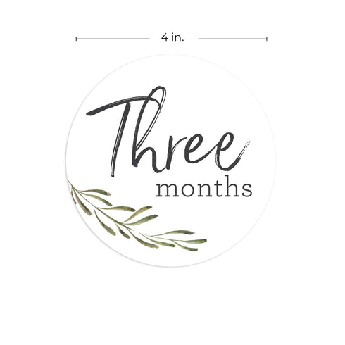 Baby Milestone Signs, Greenery Monthly Milestones, Botanical Infant Photo Prop