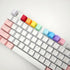 OEM Profile Blank Keycaps, PBT Rainbow Mixed Colors 1U R4 Keycap for MX Switches Mechanical Keyboard (Mixed Colors,