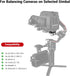 SMALLRIG Counterweight Kit for DJI RS2/RSC2/RS 3/RS 3 Pro and Zhiyun Crane 2S/3S/Weebill S Gimbals