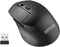 Arteck 2.4G Wireless Mouse with Nano USB Receiver, Ergonomic Right Hand Silent Clicking for Computer/Desktop/PC/Laptop