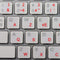 4Keyboard French AZERTY Keyboard Decals ON Transparent Background with Blue, Black, Green, RED,
