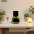 Amacthysh Cell Phone Stand with Sound Amplifier,Frog Amplifying Phone Speaker, Ceramic Desktop Cell Phone Speaker
