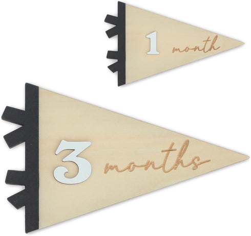 Daisy 3D Baby Monthly Milestone, Wooden Baby Milestone Signs, Monthly Milestone Wood