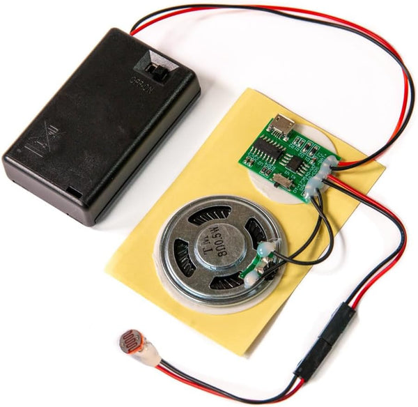 Talking Products , MP3 Sound Chip Module, 4MB Memory, with AAA Battery Box. Create