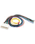 Wujexuhe Wiring Harness Amp Bypass Stereo Adapter Fit for Lexus IS300 2001 2002