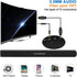 BenqBot 5.0 30W Portable Soundbar for TV/PC, Outdoor/Indoor Wired & Wireless Bluetooth Speaker with Remote Control