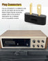 Plug Connectors for Pioneer Speaker SX-525 SX-626 SX-727 SX-828 SX-990 SX-1000, 2 Packs