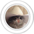 Crying Cat Meme Sad PopGrip: Swappable Grip for Phones & Tablets, MagSafe for iPhone