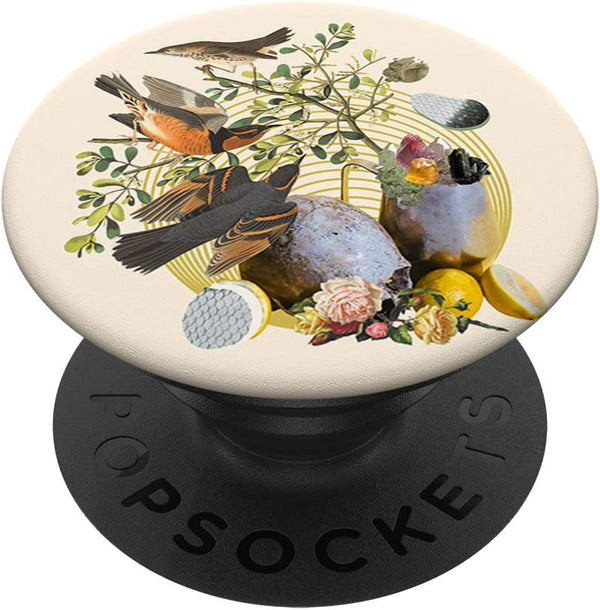 PopSockets PopGrip: Swappable Grip for Phones & Tablets - Vintage Birds Flowers Leaves Abstract Pattern