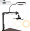 Overhead Camera Mount with Ring Light, 6’’ Phone Mount for iPhone Camera Webcam, Articulating Arm