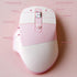 Lomiluskr Ergonomic 2.4G & Bluetooth Dual Mode Wireless Mouse, Soundless Keys, Compatible with Notebook, PC, Tablet,