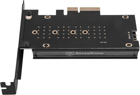 SilverStone Technology ECM24-ARGB M.2 NVMe SSD NGFF M Key to PCIe x4 ARGB Adapter Card with Heatsink