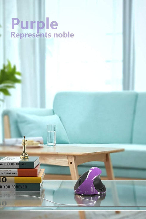 Ergonomic Vertical Mouse, Wireless 2.4G Rechargeable Optical Mouse with Adjustable DPI for Small Hands