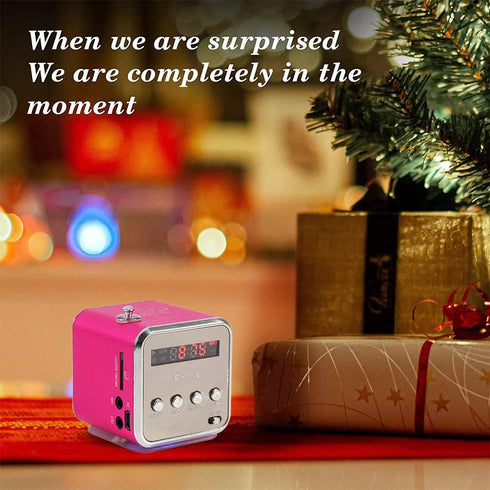 Eboxer Portable Mini Speaker FM Radio Stereo Speaker, Support TF Card, Perfect for Room, Bike, Car (Rose Red)