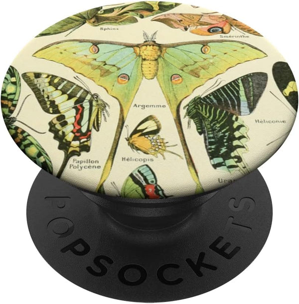 Vintage Botanical Biology Illustration Luna Moth Butterfly PopSockets Standard PopGrip