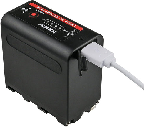 Kastar 1-Pack NP-F980EXP Battery and LTD2 USB Charger, Compatible with Bosma G1 Pro 8K Camera (MFT)