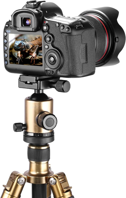 Neewer 2 Pieces Metal PU-60 Universal Quick Shoe Plate with 1/4 inch Screw for Camera Tripod