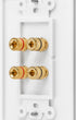 2 Setup DIYTECH Speaker Wall Plate, Home Theater Wall Plate, Gold Plated Binding Posts, for Home Theater
