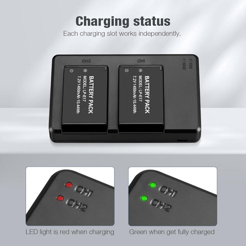 LP-E17 Battery Pack + Dual USB Charger for E RP, Rebel T7i, T6i, T6s, M6, M5, M3, SL3, SL2, 77D, 8000D